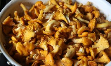 Berapa lama memasak jamur chanterelle sebelum digoreng dan dibekukan