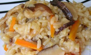 Comment faire cuire des champignons shiitake - recettes et teneur en calories des champignons bouillis
