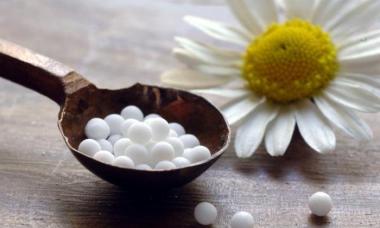 Hamomilla (homeopati): indikasi penggunaan, analog, dan ulasan I